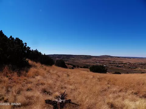 2 County Rd 5035, Concho, AZ 85924 photo 20