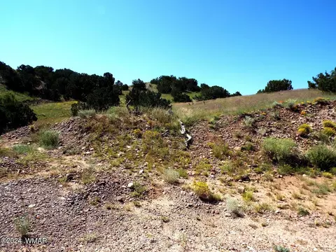 2 County Rd 5035, Concho, AZ 85924 photo 30
