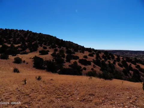 2 County Rd 5035, Concho, AZ 85924 photo 21