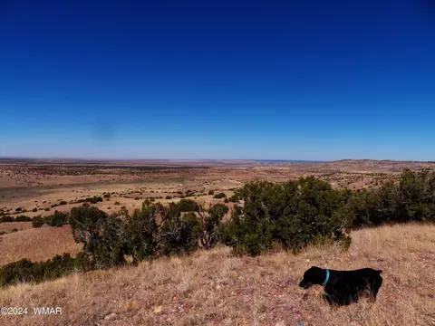 2 County Rd 5035, Concho, AZ 85924 photo 23