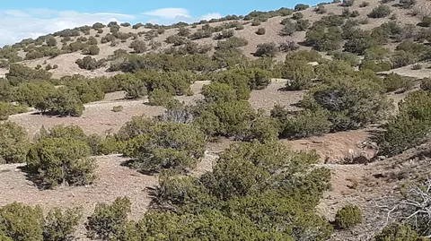 2 County Rd 5035, Concho, AZ 85924 photo 12