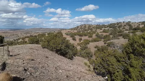 2 County Rd 5035, Concho, AZ 85924 photo 10