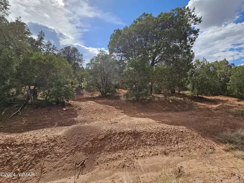 856 Heart Straight Ln, Show Low, AZ 85901