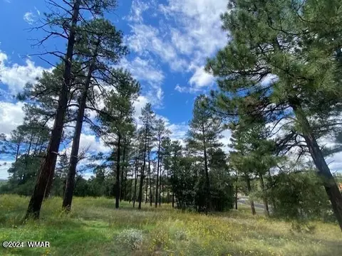 2500 Whispering Springs Rd, Show Low, AZ 85901