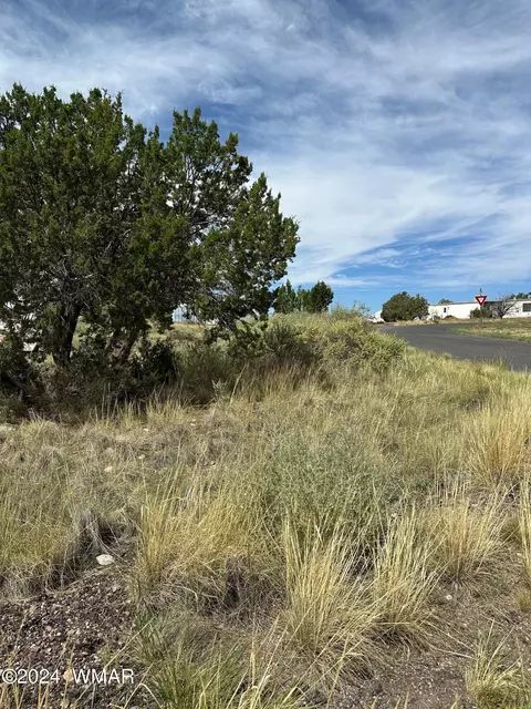 59 Frontage Rd, Concho, AZ 85924 photo 2