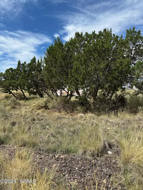59 Frontage Rd, Concho, AZ 85924 photo 3