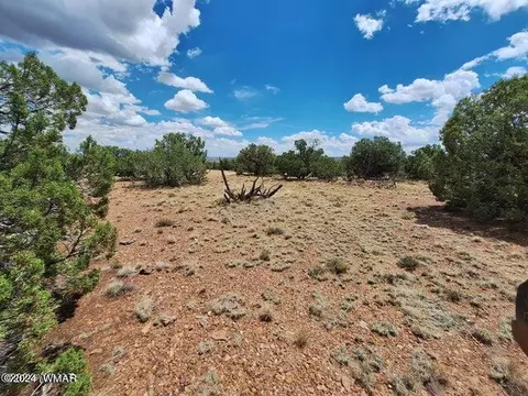 159 Ranch Dr, Concho, AZ 85924 photo 14