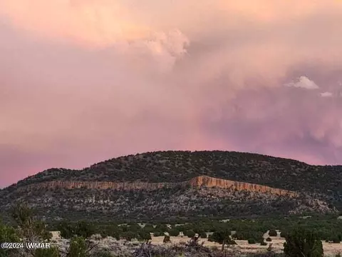 159 Ranch Dr, Concho, AZ 85924 photo 12