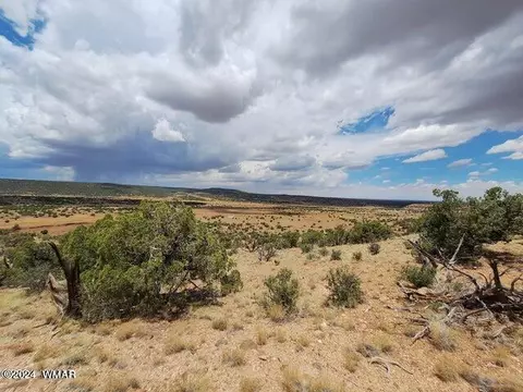 159 Ranch Dr, Concho, AZ 85924 photo 7