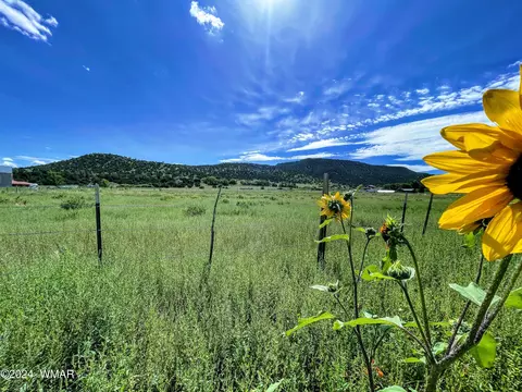 tbd E 4th St, Eagar, AZ 85925 photo 9