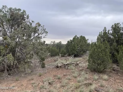 1 Cr 8117, Concho, AZ 85924