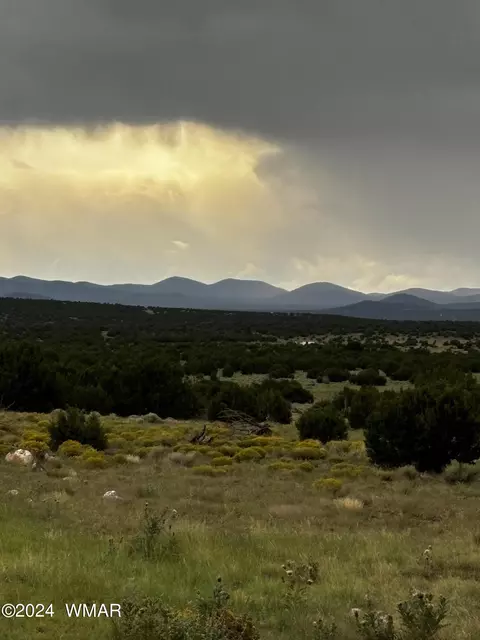 4 Mesa Redondo Ranch Rd, Concho, AZ 85924