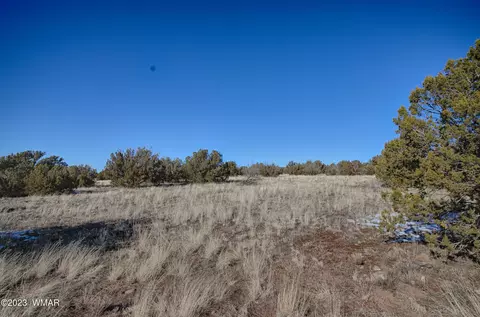 2457 Bourdon Ranch Rd, Show Low, AZ 85901