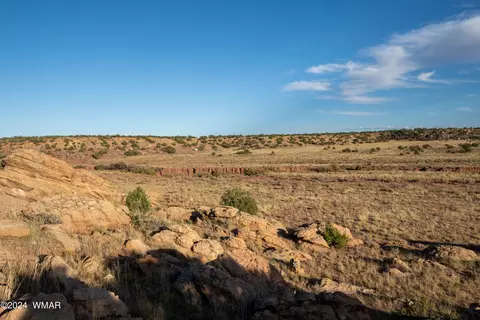 137 Acr 8461, Concho, AZ 85924