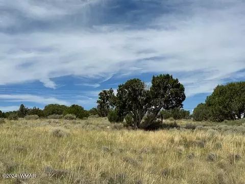 5 Co Rd, Concho, AZ 85924