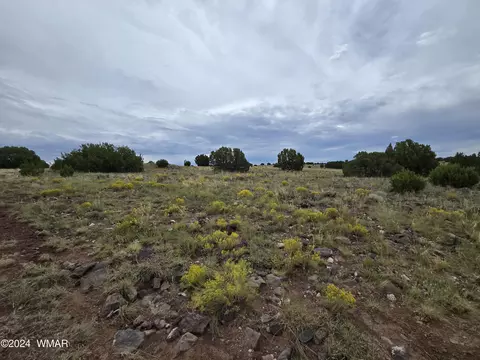 tbd Cr 5151, Concho, AZ 85924
