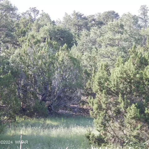 tbd W Snowline Dr, Eagar, AZ 85925