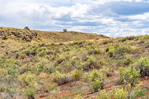35 Ranch Rd, Concho, AZ 85924 photo 17