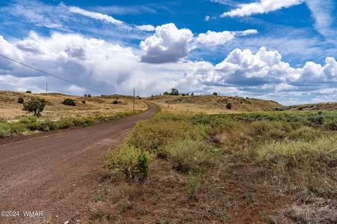35 Ranch Rd, Concho, AZ 85924 photo 10