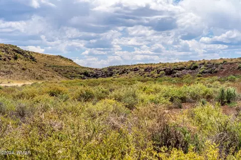 35 Ranch Rd, Concho, AZ 85924 photo 14