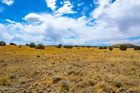 35 Ranch Rd, Concho, AZ 85924 photo 5