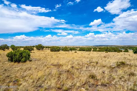 35 Ranch Rd, Concho, AZ 85924 photo 7