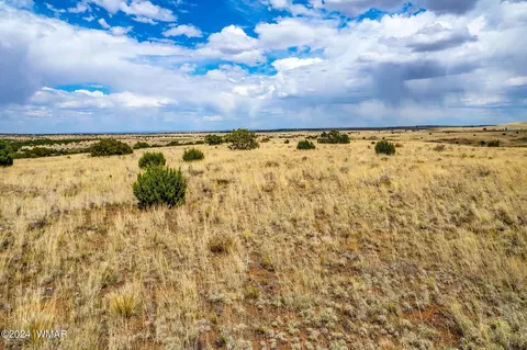 35 Ranch Rd, Concho, AZ 85924 photo 6
