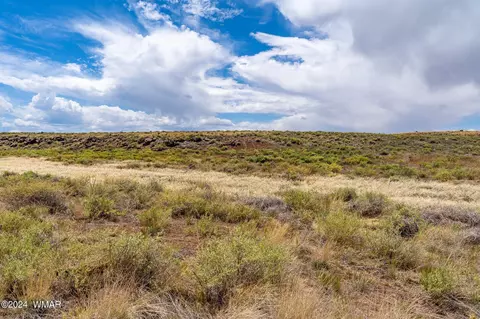 35 Ranch Rd, Concho, AZ 85924 photo 19