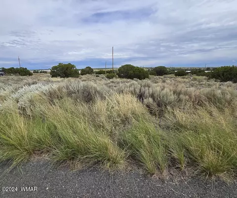 74 Alpine Ln, Concho, AZ 85924
