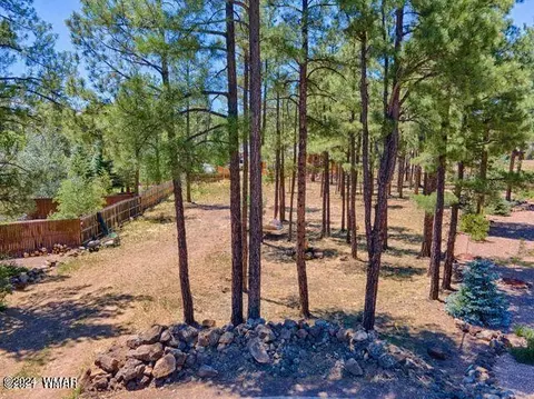 446 Osprey Ct, Pinetop, AZ 85935