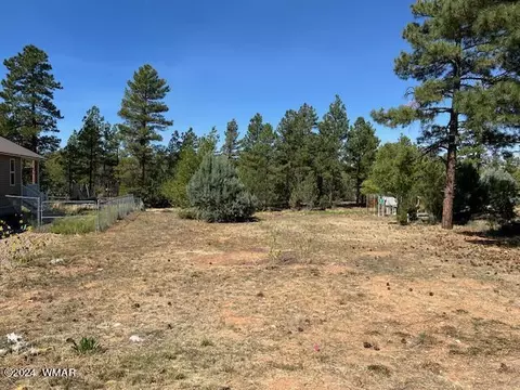 340 N Fox Run, Show Low, AZ 85901