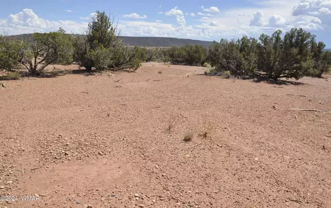 4643 Knudson Ln, Snowflake, AZ 85937 photo 3