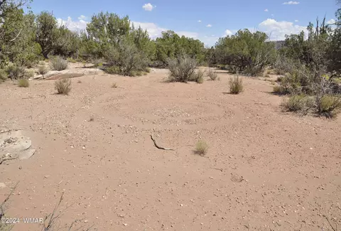 4643 Knudson Ln, Snowflake, AZ 85937 photo 10
