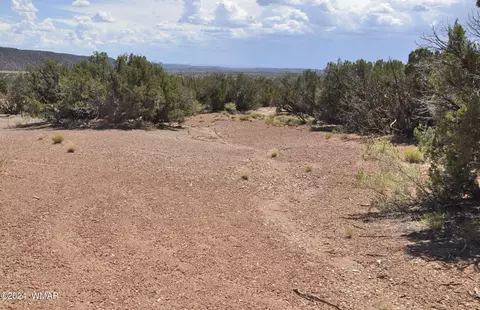 4643 Knudson Ln, Snowflake, AZ 85937