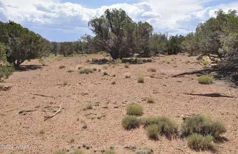4643 Knudson Ln, Snowflake, AZ 85937 photo 5
