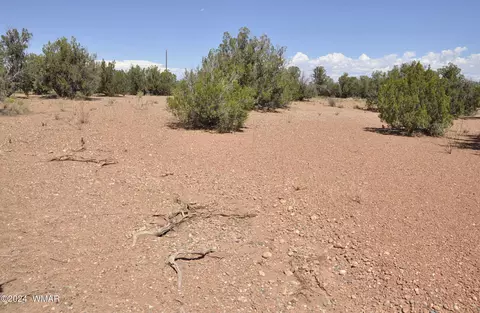 4643 Knudson Ln, Snowflake, AZ 85937 photo 4