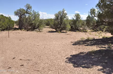 4643 Knudson Ln, Snowflake, AZ 85937 photo 6