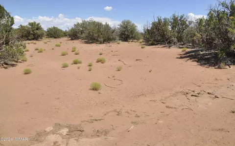 4643 Knudson Ln, Snowflake, AZ 85937 photo 8