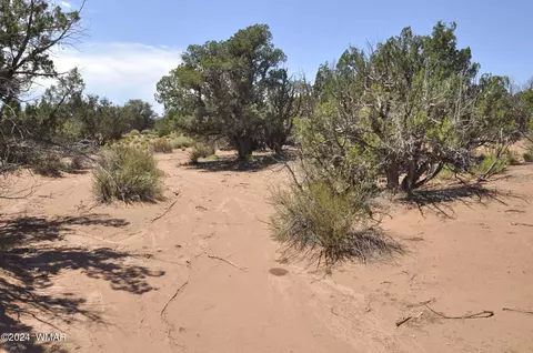 4643 Knudson Ln, Snowflake, AZ 85937 photo 15