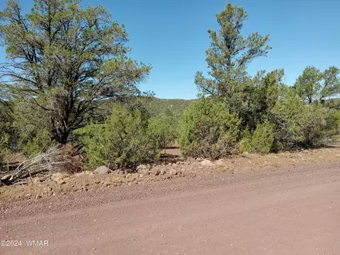 95 Co Rd 3199, Vernon, AZ 85940