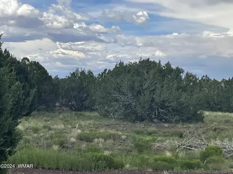 12 3154, Vernon, AZ 85940