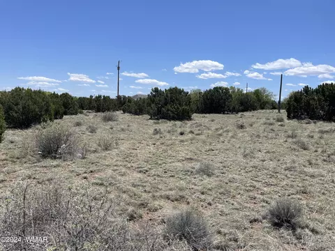 66 Dawn Ln, Concho, AZ 85924