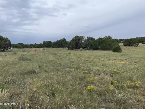 27 Cr 8206, Concho, AZ 85924