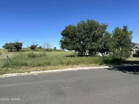 tbd N River Rd, Eagar, AZ 85925 photo 2