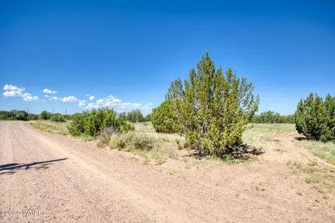 8556 Cannon Blvd, Show Low, AZ 85901