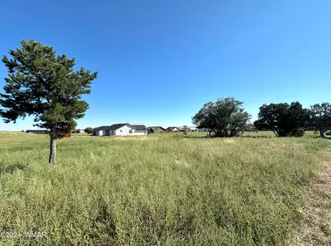 150 N River Rd, Eagar, AZ 85925 photo 48