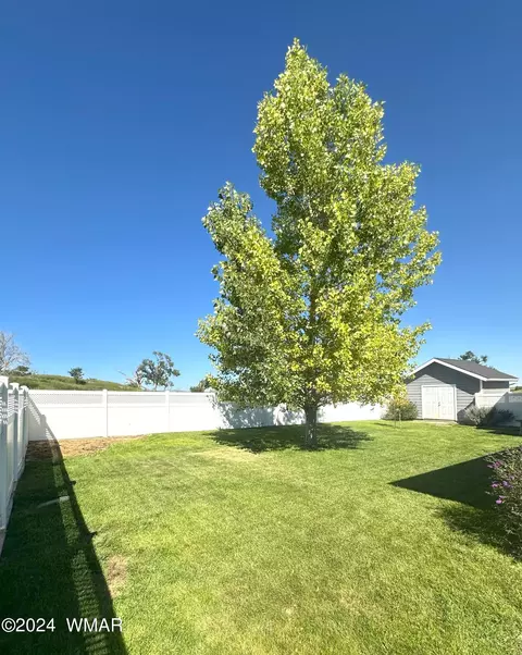 150 N River Rd, Eagar, AZ 85925 photo 54