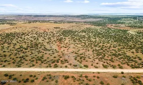 tbd 202-28-002 County Road 6040, Saint Johns, AZ 85936