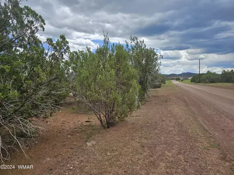 20 Cr 3193, Vernon, AZ 85940