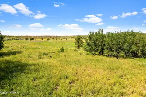 0 E Main St, Springerville, AZ 85938 photo 15